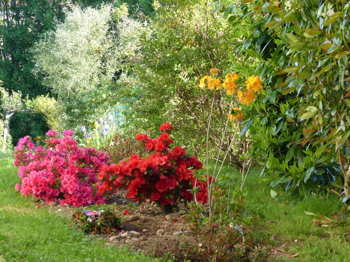 Les Enselmes Bed & Breakfast Montagnieu  Bagian luar foto
